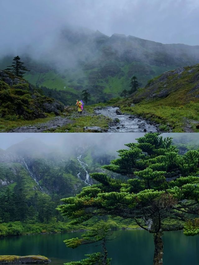 嘩，雲南竟然還有這樣一個地方，家人們。