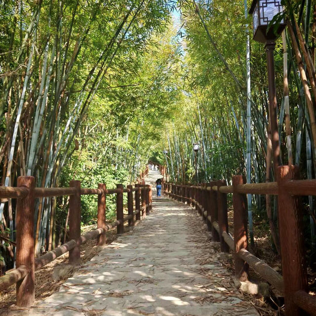 🌳探尋中山隱秘角落，踏入真實版綠野仙蹤