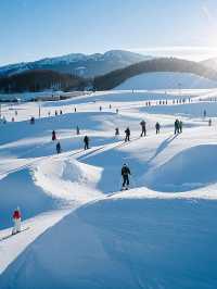 雪落札幌，邂逅冬日的詩意與遠方