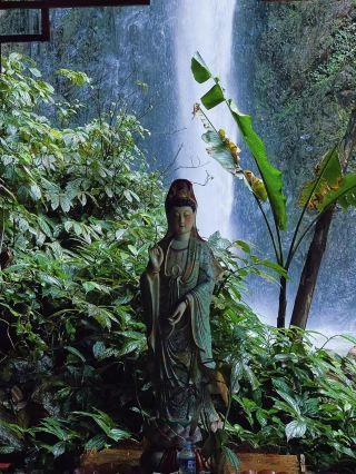 Hidden Gem Menglian: An Avocado Rendezvous at the Border