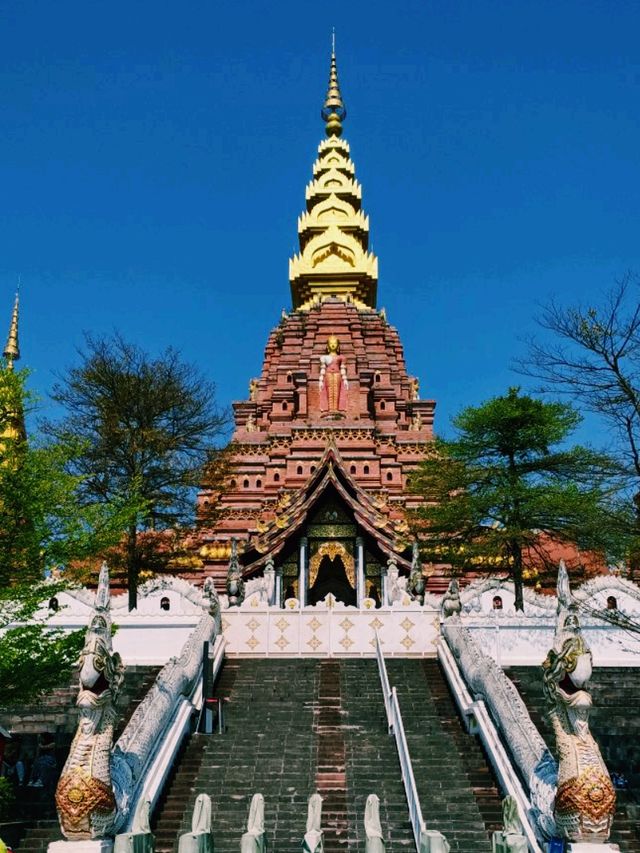 Catching Vibrant Vibes of Xishuangbanna: 7 Day Travel Itinerary