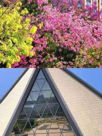 3月的攀枝花，簡直係人間理想。
