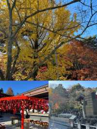 解鎖日本寶藏地松山
