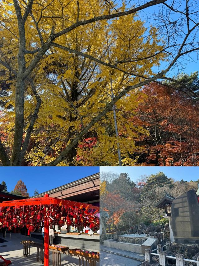 解鎖日本寶藏地松山