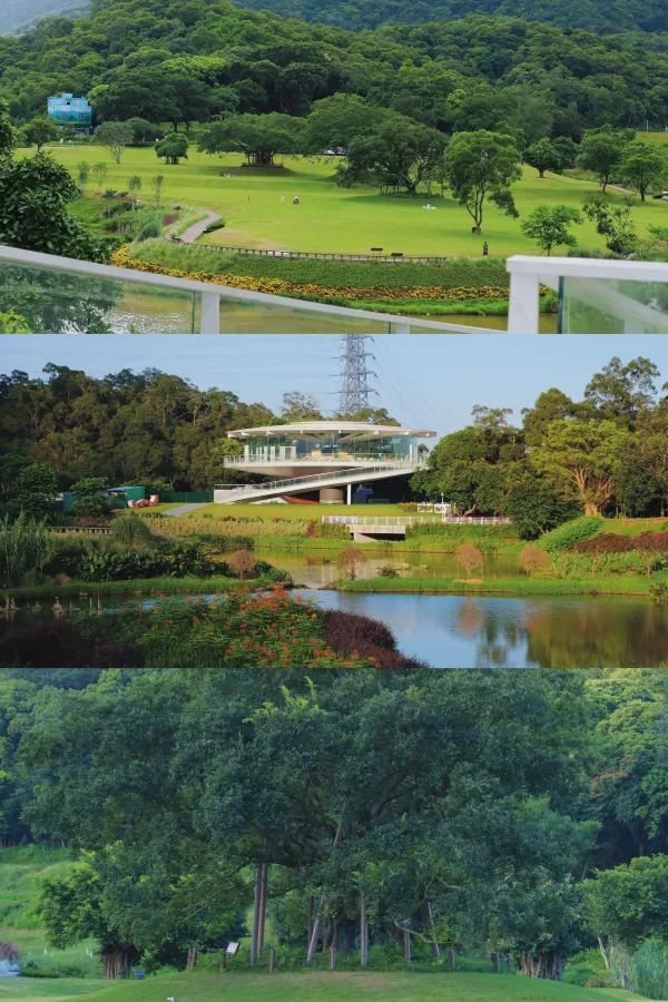 深圳有自己的阿勒泰！——恩上濕地公園