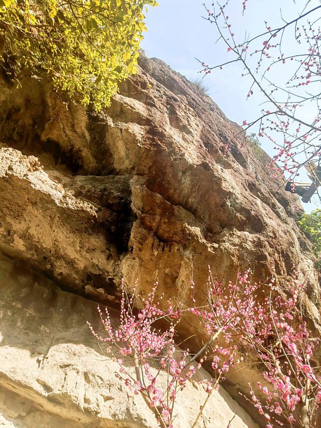 縉雲仙都觀,「白鶴大帝」趙炳的傳奇故事 縉雲仙都觀,「白鶴大帝」趙炳的傳奇故事