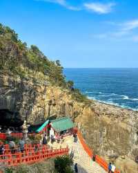 日本·宮崎 | 鵜戶神宮——海崖上的夢幻紅色神社！