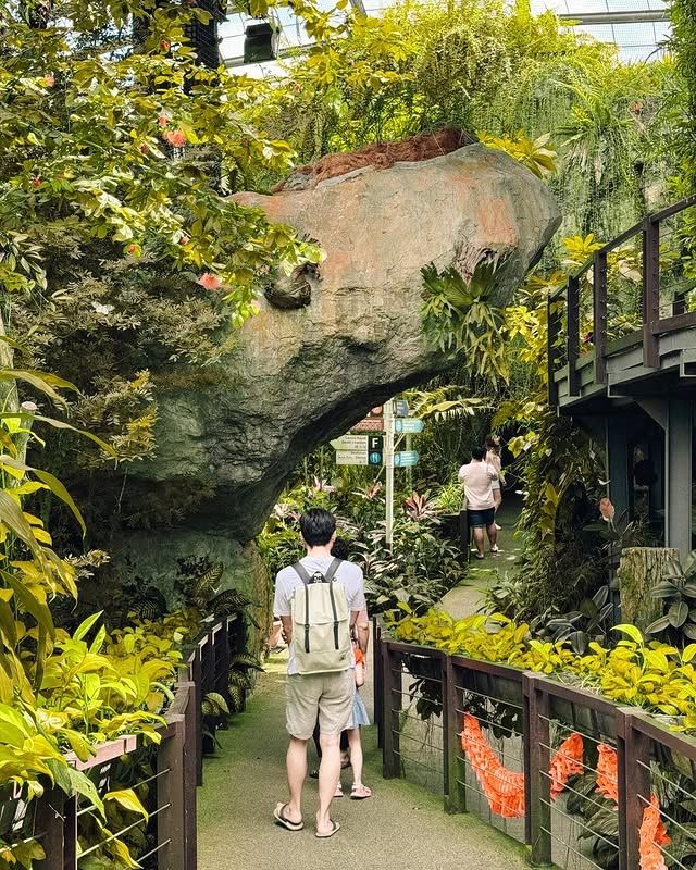 檳城蝴蝶公園—夢幻蝴蝶王國