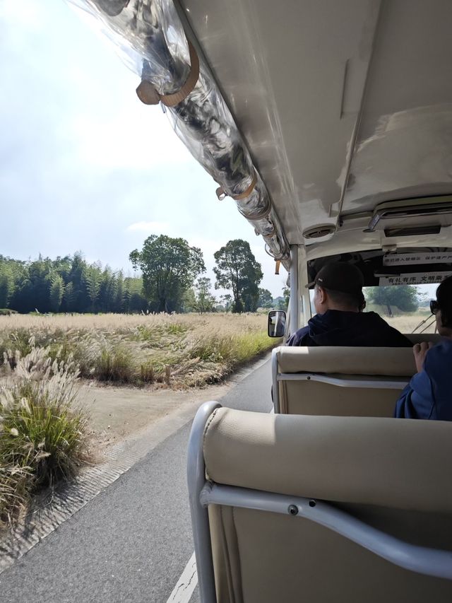 如歌的旅程｜3月限定杭州良渚古城免費了，千萬別錯過