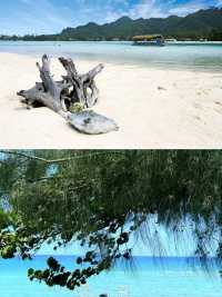 庫克群島拉羅湯加島｜兩天玩樂攻略