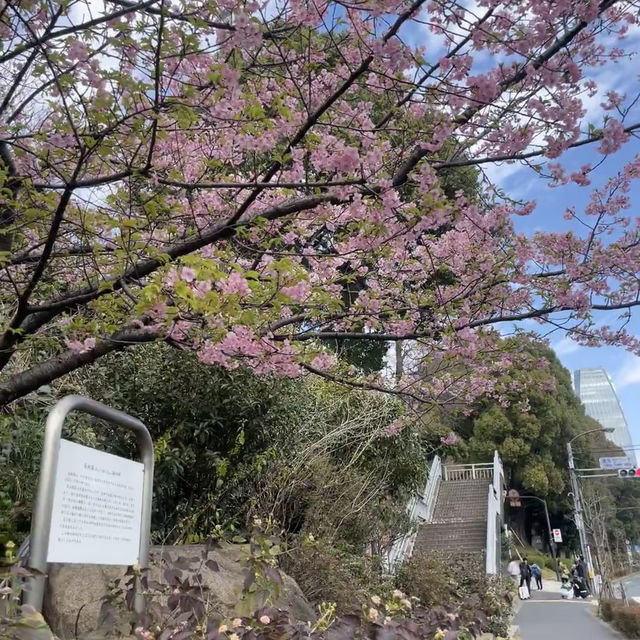 🗼東京鐵塔 | 赴一場浪漫之約