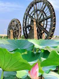 富平｜解鎖小眾寶藏旅行地