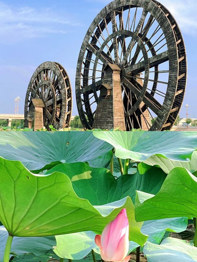 富平｜解鎖小眾寶藏旅行地