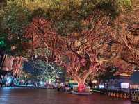 惠州3天2夜治癒系旅行攻略-慢活天堂
