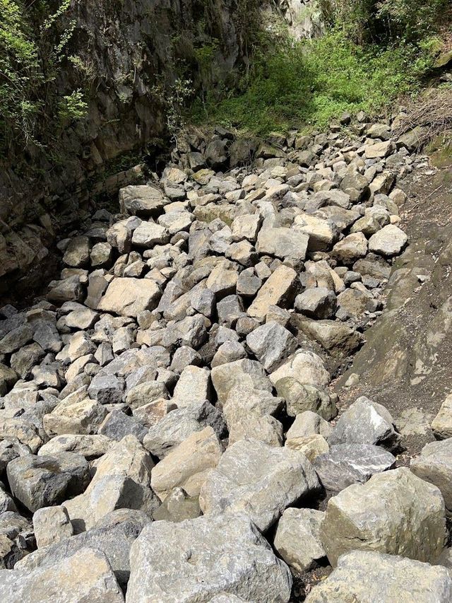 2天玩盡日本精華快收藏不怕遺漏