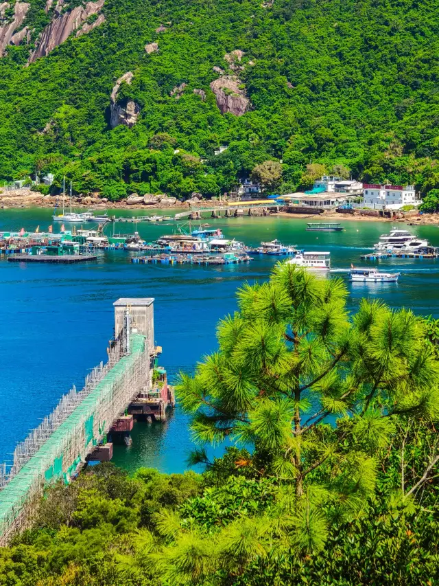 HK丨週末去南丫島太舒服了，一日遊路線