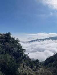 被低估的美景！明月山羊獅慕2日遊