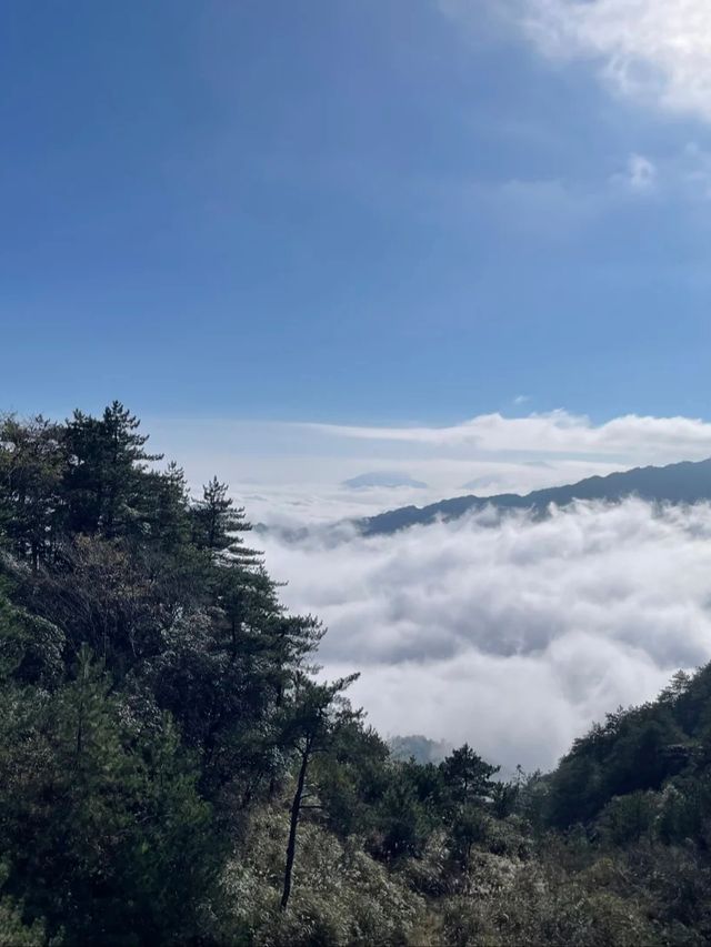 被低估的美景！明月山羊獅慕2日遊