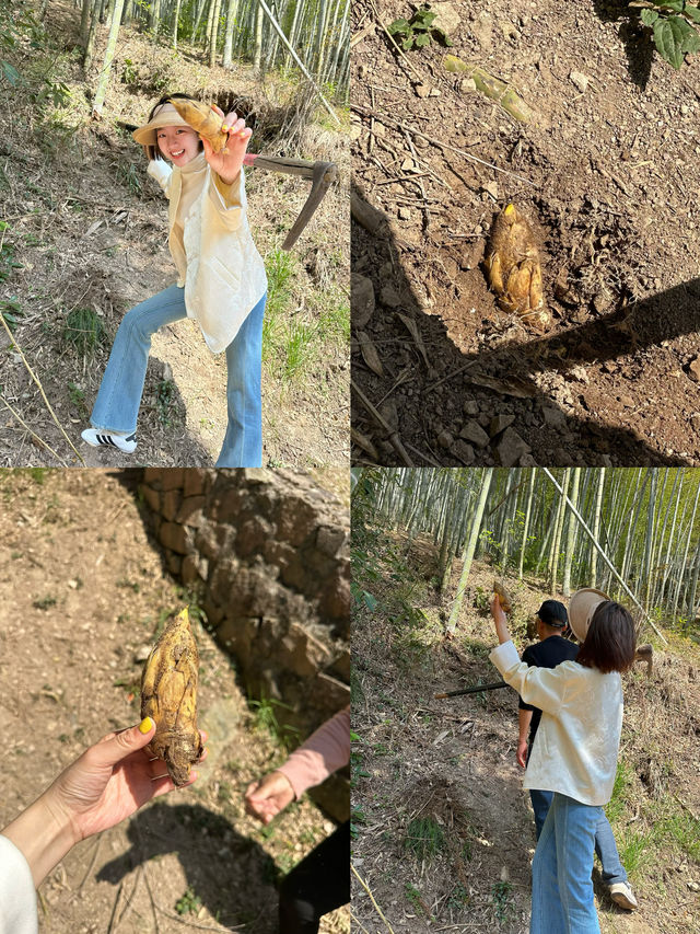 我在寧波龍觀鄉的隱世秘境吸氧～