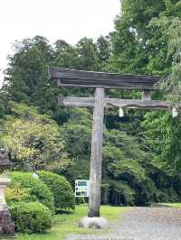 5日玩轉日本 清明出遊正當時
