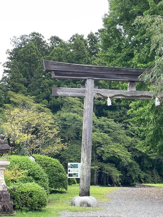 5日玩轉日本 清明出遊正當時