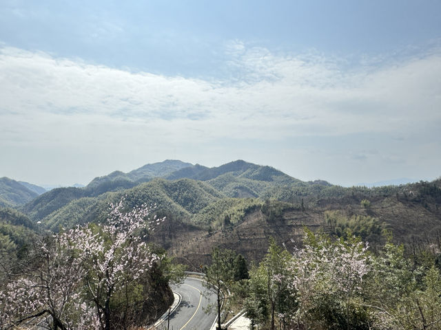 杭州臨安｜生命就應該浪費在這樣的地方啊