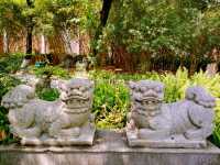 Tongshashengtai Park: Green and Fresh Meditation Land