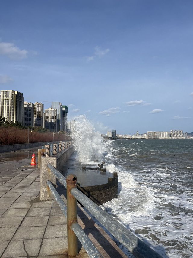 5日暢遊青島等地｜超詳細行程攻略 必收藏