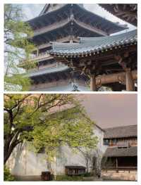 杭滬周邊遊，濮院時尚古鎮，邂逅春日江南。