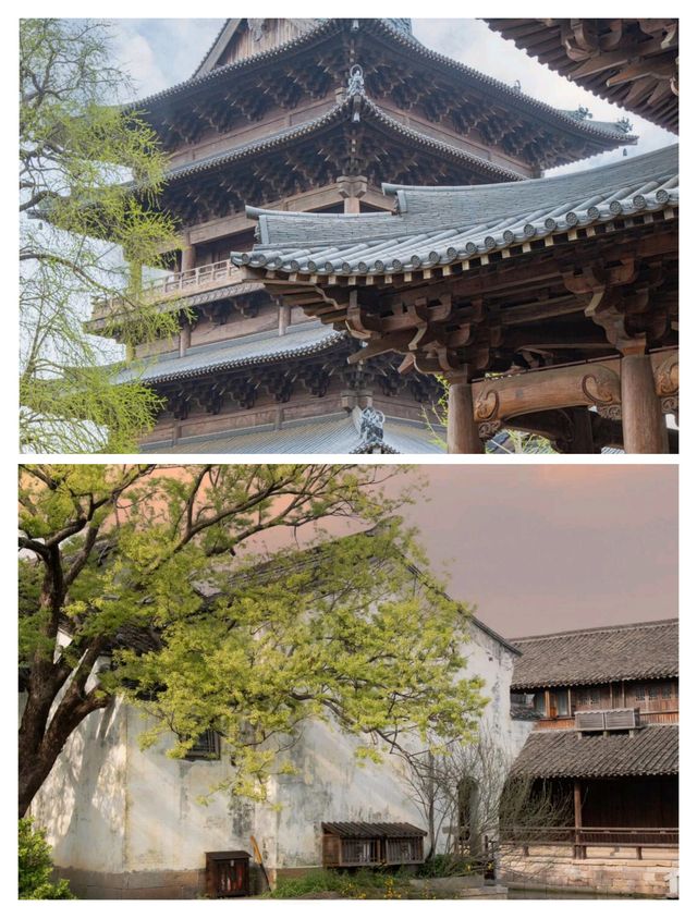 杭滬周邊遊，濮院時尚古鎮，邂逅春日江南。