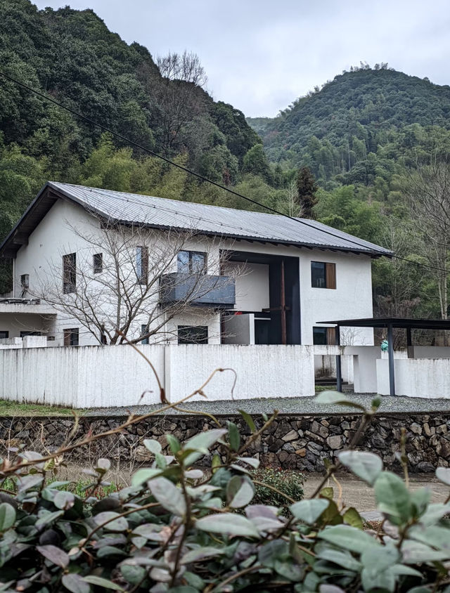 莫干山聽澗民宿|隱藏在竹海澗音中的山野桃園 莫干山聽澗民宿|隱藏在竹海澗音中的山野桃園