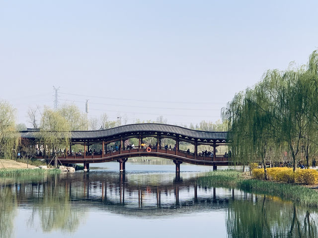雄安寶藏公園 | 悅容公園保姆級遊玩攻略