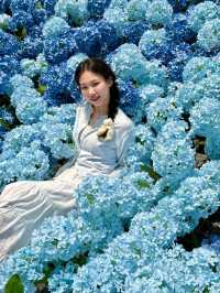 🌷珠海隱藏寶地 | 假花叢中的真小鹿奇遇✨