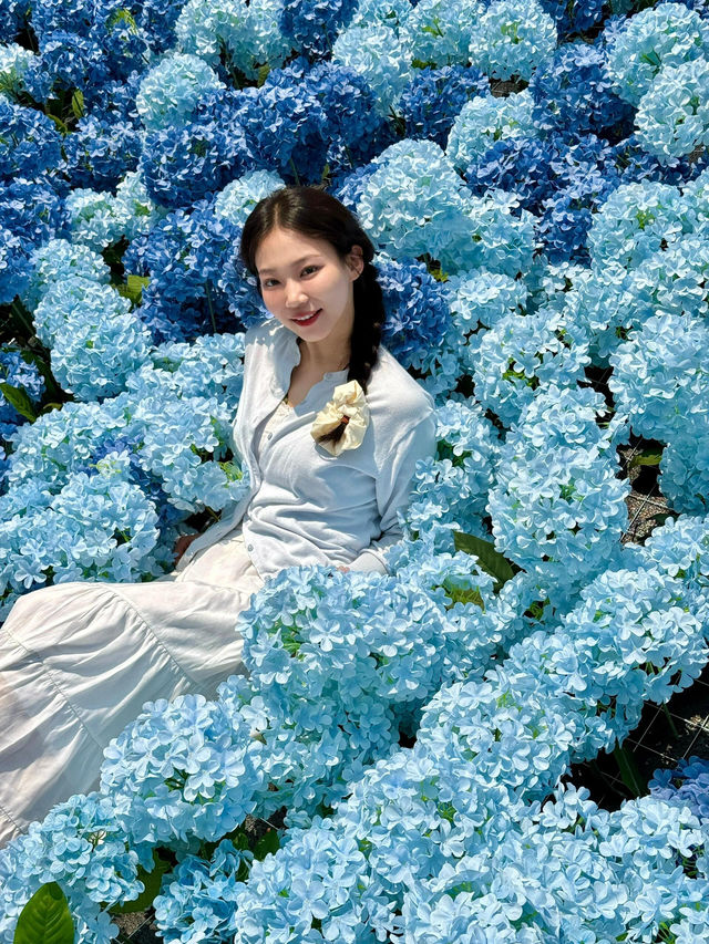 🌷珠海隱藏寶地 | 假花叢中的真小鹿奇遇✨