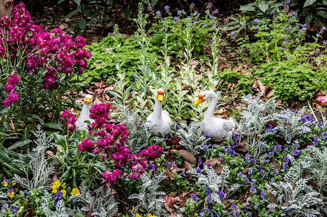 上海共青城公園莫奈花園