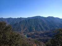 杭州建德馬嶺天觀佛手橋旅遊全攻略：雲端之上的震撼體驗