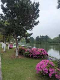 XiangHu park