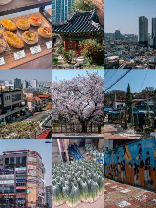 Cheongju: A Hidden Gem Just 1.5h from Seoul
