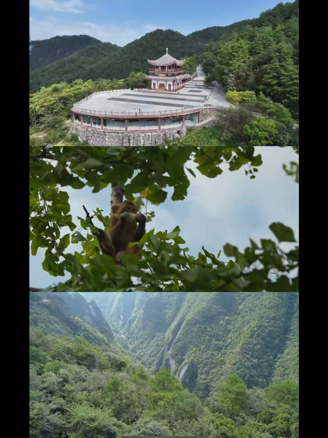 震驚洞見816真的好讚！