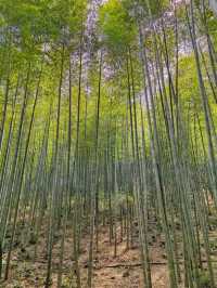 安雲悦南山度假酒店｜捕捉山水詩意與現代雅韻