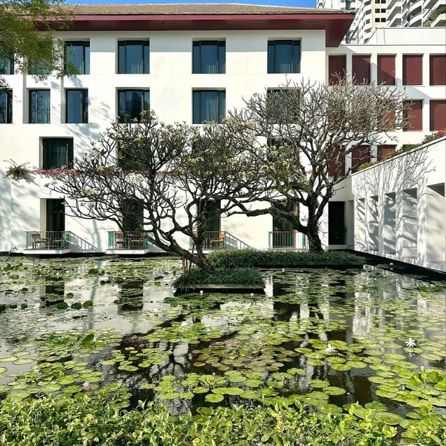 🌿曼谷頂級設計酒店｜素凱泰The Sukhothai✨安縵大師操刀の隱世綠洲