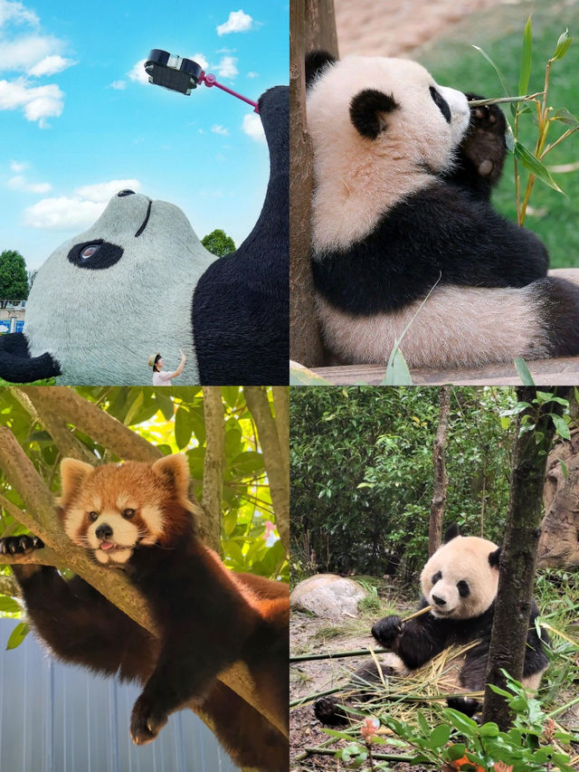 五一成都小眾旅遊攻略