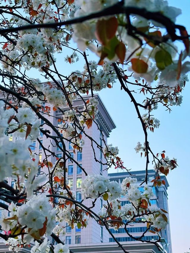 山東德州•一座美麗動人慢節奏的城市