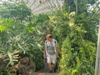 Dream Day at Chenshan Botanical Gardens