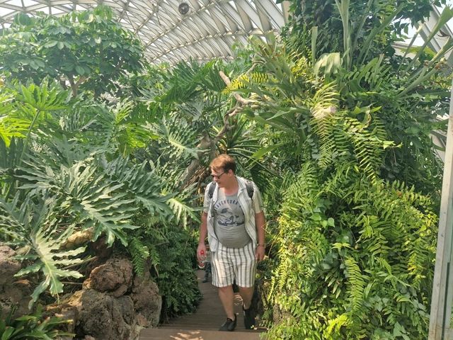 Dream Day at Chenshan Botanical Gardens