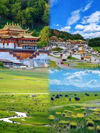 五六月份出現，這4個地方不容錯過！