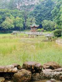 東莞｜旗峰公園｜城市綠肺中的祈福聖境與自然秘境