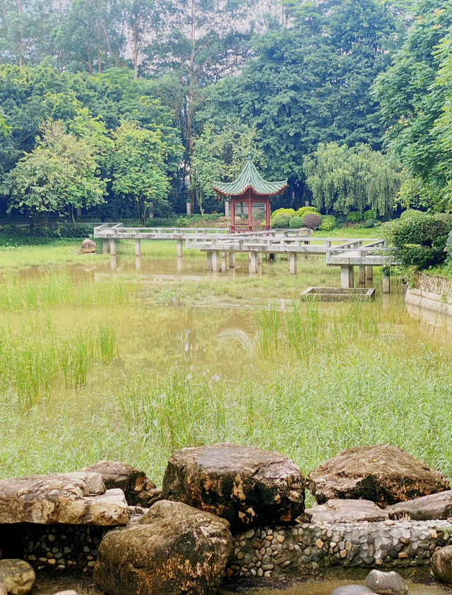 東莞｜旗峰公園｜城市綠肺中的祈福聖境與自然秘境