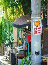 東京昭和风貓街交通攻略｜漫步復古時光的私藏路線