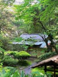 舊古河庭園交通攻略：輕鬆抵達日西融合庭園